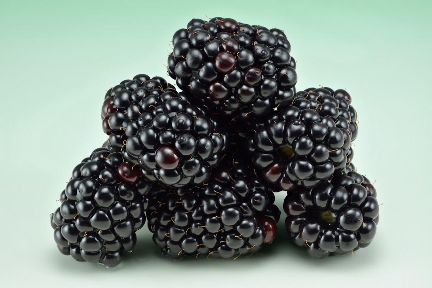 Fresh blackberries photographed close up