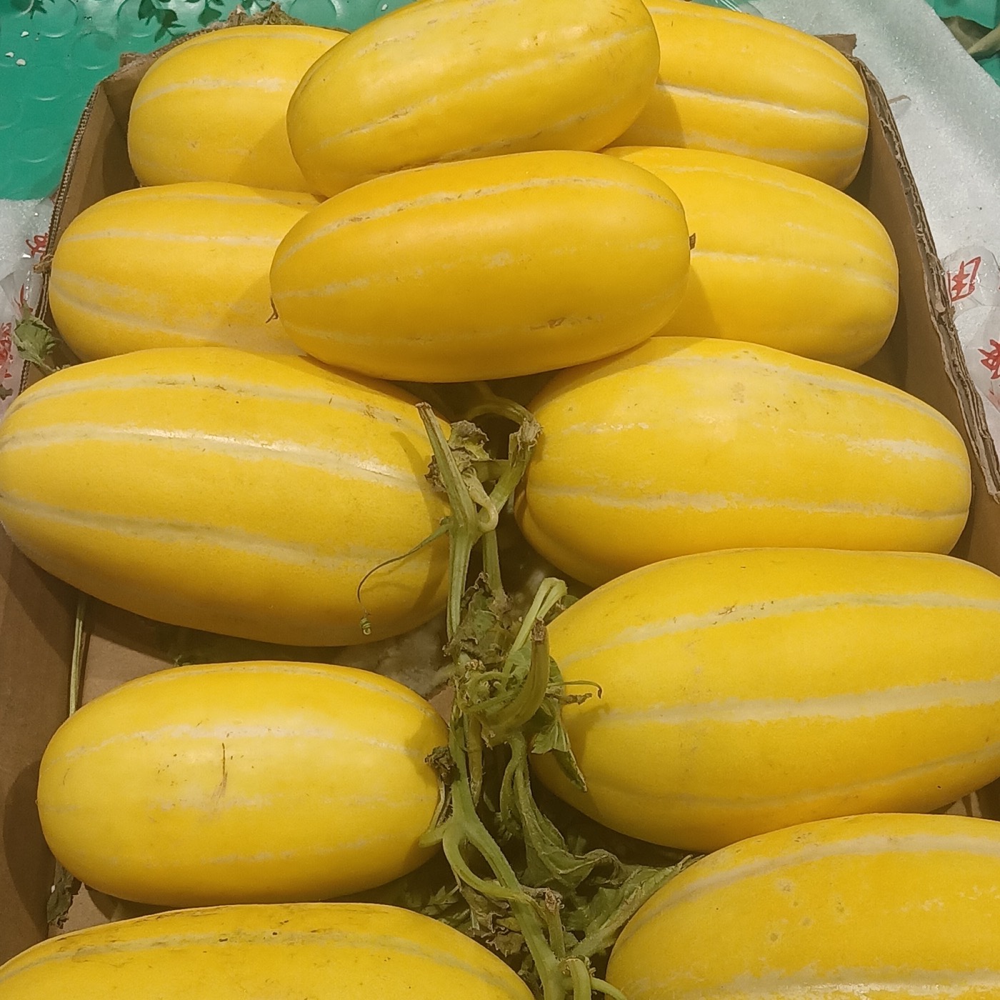 A golden honeydew melon
