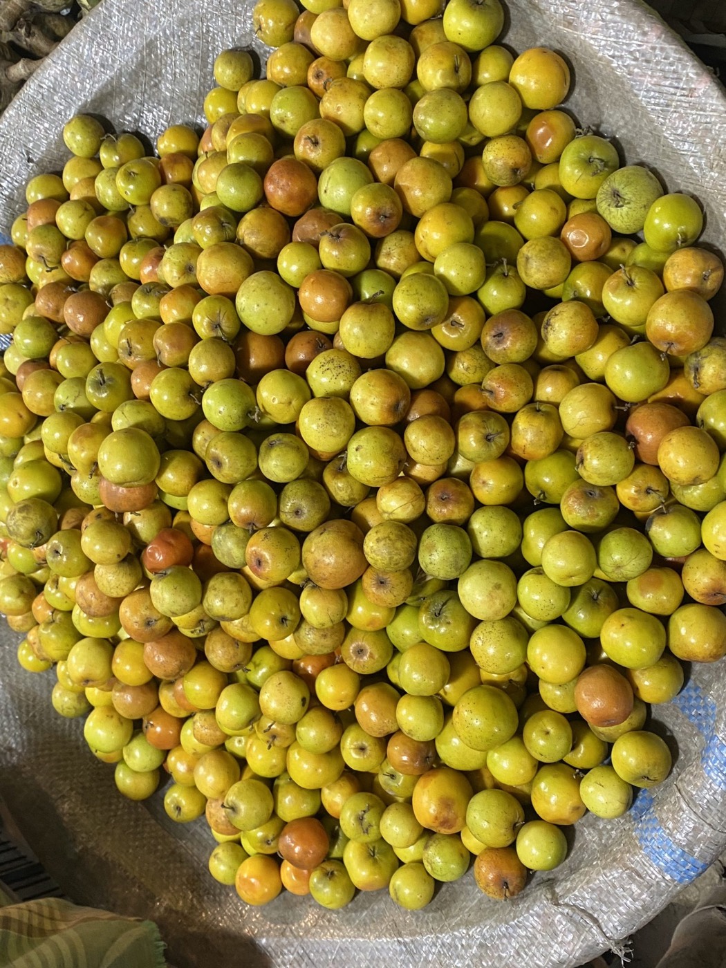 A pile of ripe jujube fruit