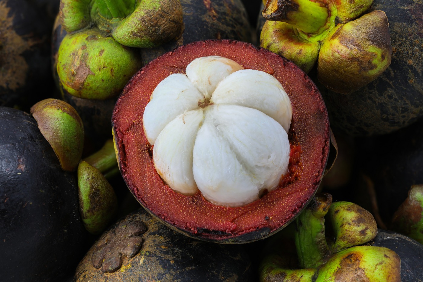 Opened mangosteen fruit showing white segments and purple rind