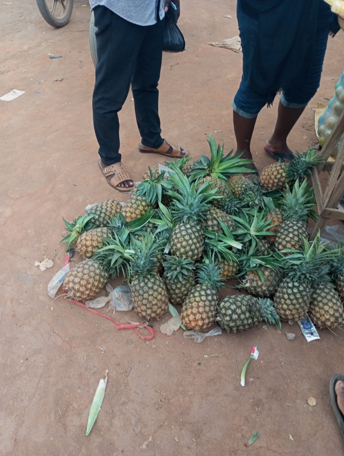 A whole pineapple fruit photographed close up
