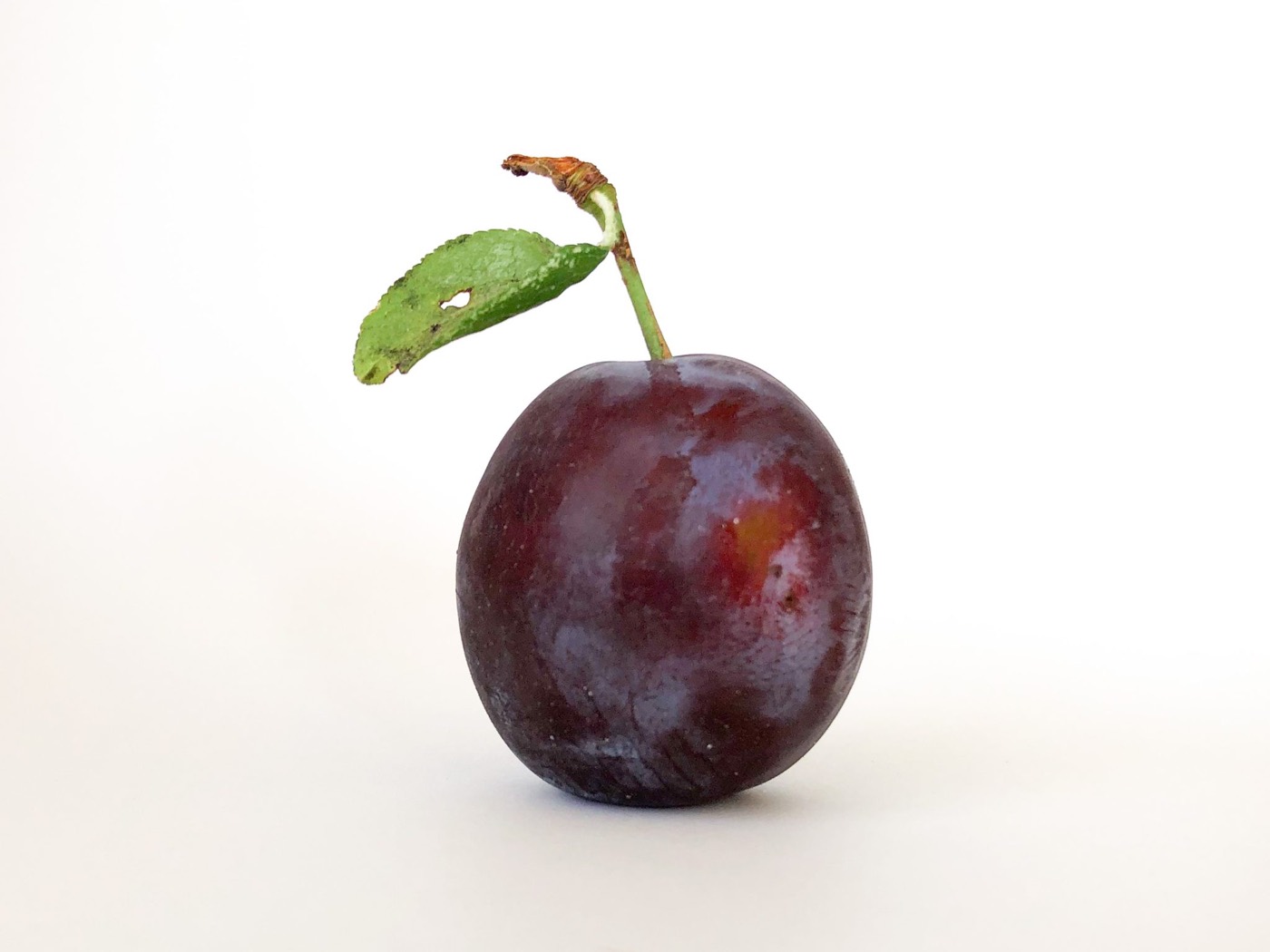 A plum on a white background