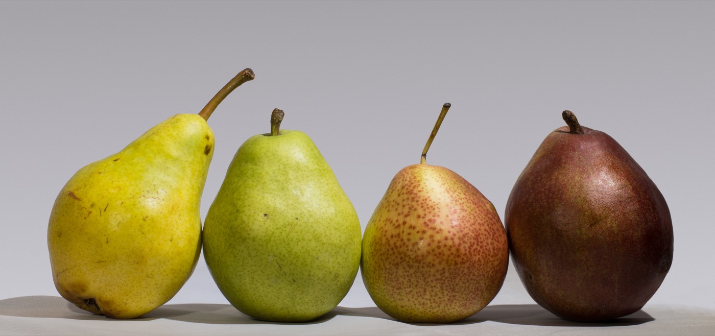 Four pears on a plain background